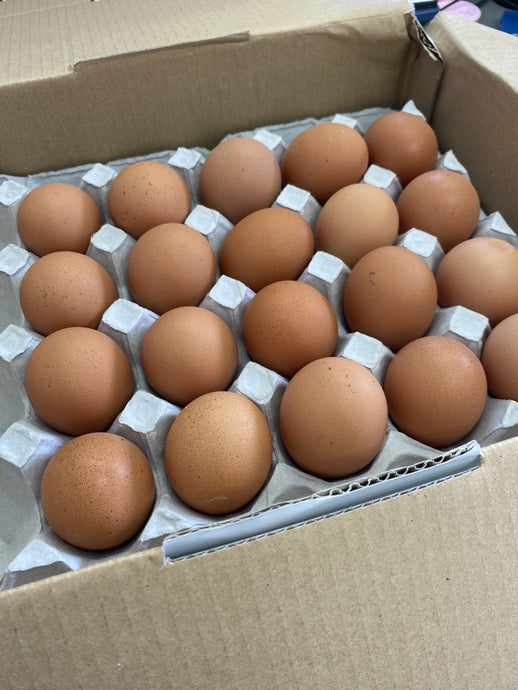 生卵が４０個東海地方から送られてきた件